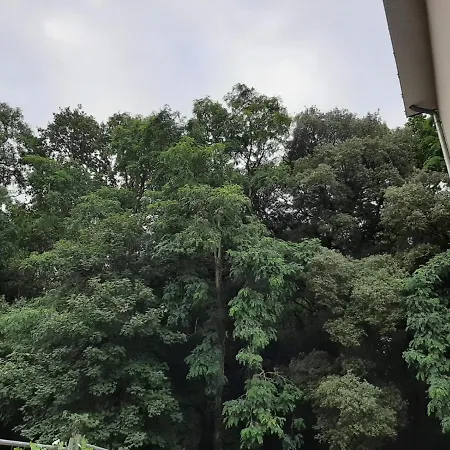 Lisiere De La Foret La Baule