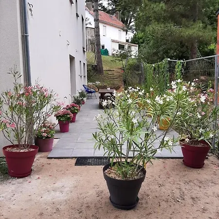 Lisiere De La Foret *