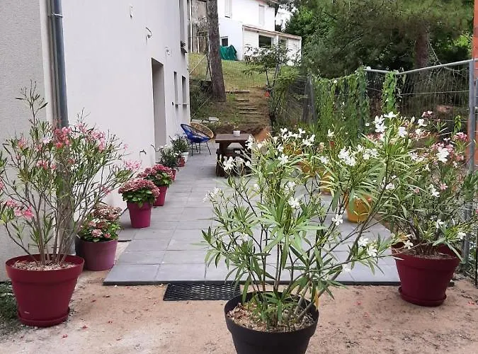 Lisiere De La Foret *