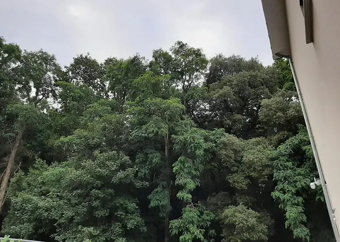 Lisiere De La Foret La Baule